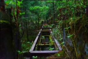 senderismo, cdmx, taravilla, media luna, dinamos, desierto de los leones, nezehuiloya, trekking, rapel, miradores, peñas, cumbres, hiking, montañismo, mexico, guías, grupos