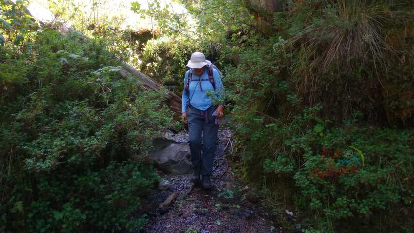 senderismo, cdmx, taravilla, media luna, dinamos, desierto de los leones, nezehuiloya, trekking, rapel, miradores, peñas, cumbres, hiking, montañismo, mexico, guías, grupos