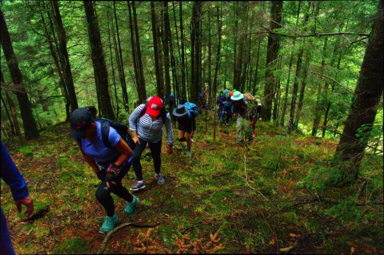 senderismo, cdmx, taravilla, media luna, dinamos, desierto de los leones, nezehuiloya, trekking, rapel, miradores, peñas, cumbres, hiking, montañismo, mexico, guías, grupos