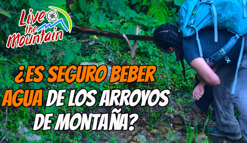 Beber Del Rio ¿Es seguro beber el agua de la montaña? - Live The Mountain