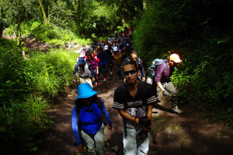 ccc-9 Caminata con causa, sierra norte, oaxaca, senderismo, aventura