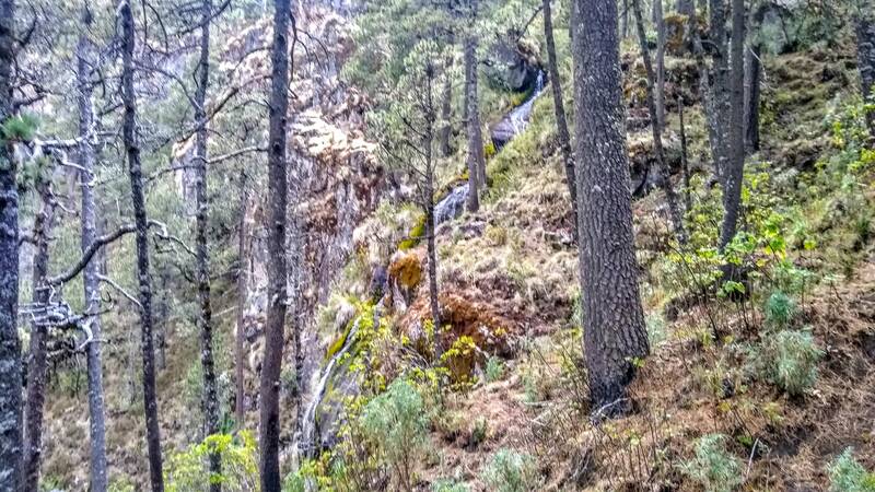 271870521_1908110222708315_2248598109396342425_n Izta desde raíz, puebla, cdmx, alta montaña, guías de montaña, senderismo, montañismo, deportes extremos, cumbre, nevada