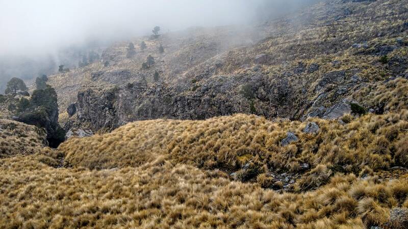 272020360_1908110169374987_2260435032095177197_n Izta desde raíz, puebla, cdmx, alta montaña, guías de montaña, senderismo, montañismo, deportes extremos, cumbre, nevada