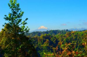 cofre de perote, desde raíz, nahucampatepetl, coatepec, travesía, ruta extrema, camping, nivel avanzado, montañismo, senderismo, hiking, trekking