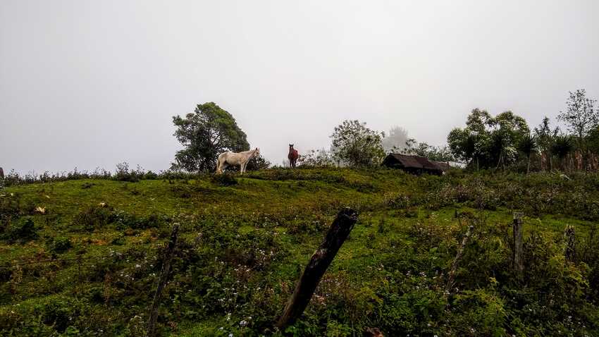 cofre de perote, desde raíz, nahucampatepetl, coatepec, travesía, ruta extrema, camping, nivel avanzado, montañismo, senderismo, hiking, trekking