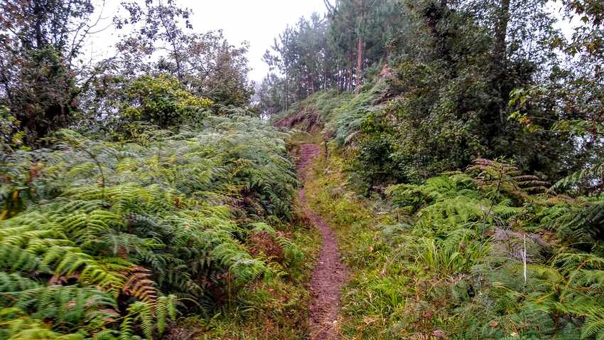 cofre de perote, desde raíz, nahucampatepetl, coatepec, travesía, ruta extrema, camping, nivel avanzado, montañismo, senderismo, hiking, trekking
