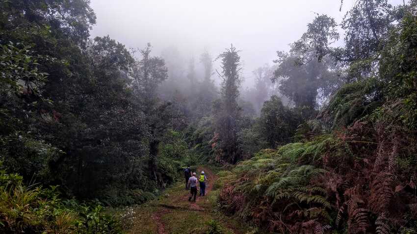 cofre de perote, desde raíz, nahucampatepetl, coatepec, travesía, ruta extrema, camping, nivel avanzado, montañismo, senderismo, hiking, trekking