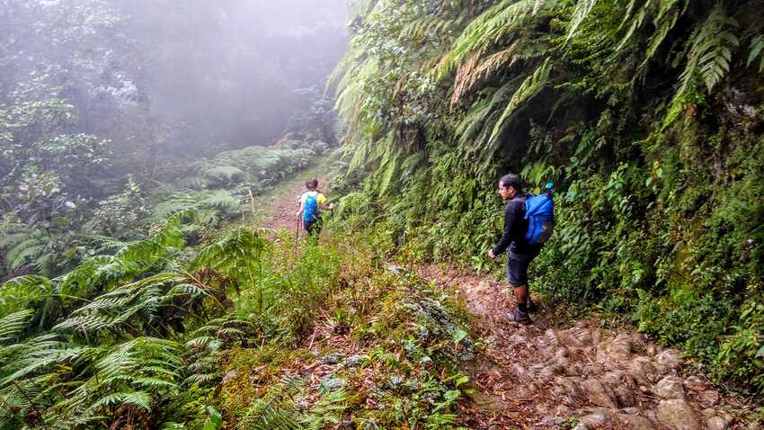 cofre de perote, desde raíz, nahucampatepetl, coatepec, travesía, ruta extrema, camping, nivel avanzado, montañismo, senderismo, hiking, trekking