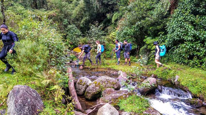 cofre de perote, desde raíz, nahucampatepetl, coatepec, travesía, ruta extrema, camping, nivel avanzado, montañismo, senderismo, hiking, trekking